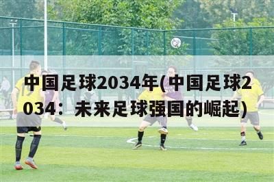 中国足球2034年(中国足球2034：未来足球强国的崛起)